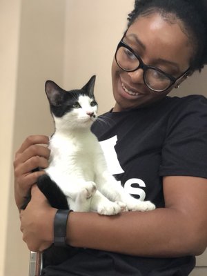 PAWS Atlanta by null