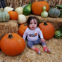 Pumpkins of all shapes and sizes.