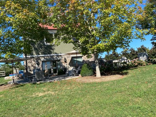 Fjord Vineyards by null