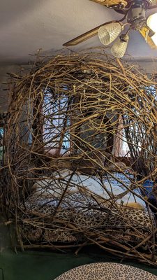 The Cave House by null