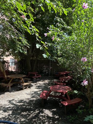 Odd Fox Coffee by null