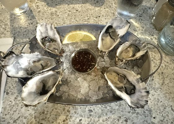 Mourne Seafood Bar by null