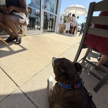 The Bodega - Outside patio with umbrellas - Breakfast & Brunch Near Me - Jacksonville Beach, Florida