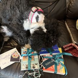 Rory and "her" birthday gifts.