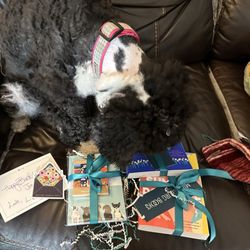 Middleburg Books - Rory and "her" birthday gifts.