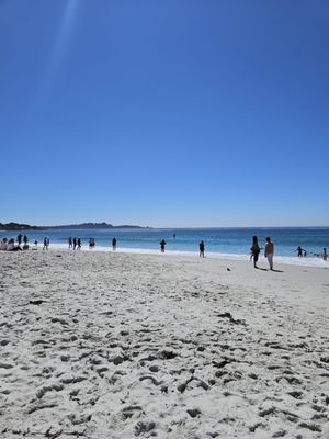 Carmel Beach by null