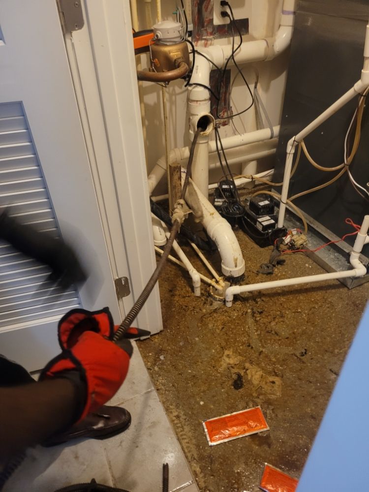 Slide of Essential Automation