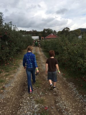 Hillcrest Orchards by null