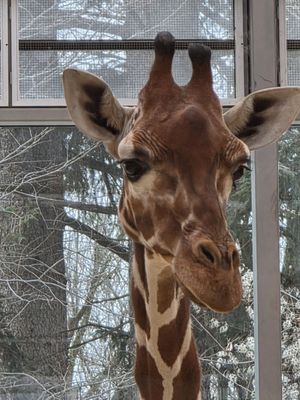 Hellabrunn Zoo by null