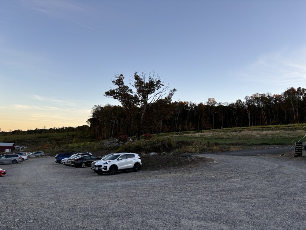 Taylor Brooke Winery - vineyard in Woodstock, CT