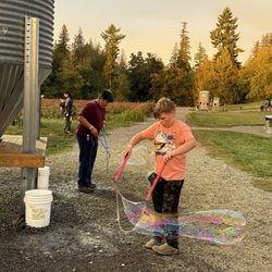 Maris Farms - Bubble station