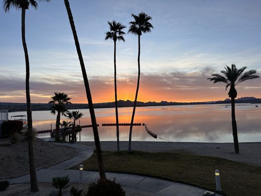 Turtle Grille by null