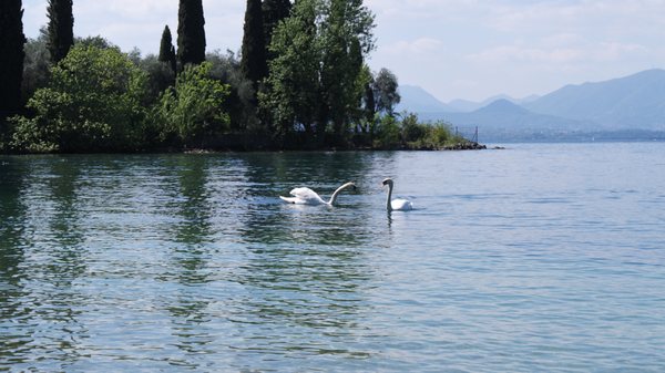 Baia delle Sirene by null