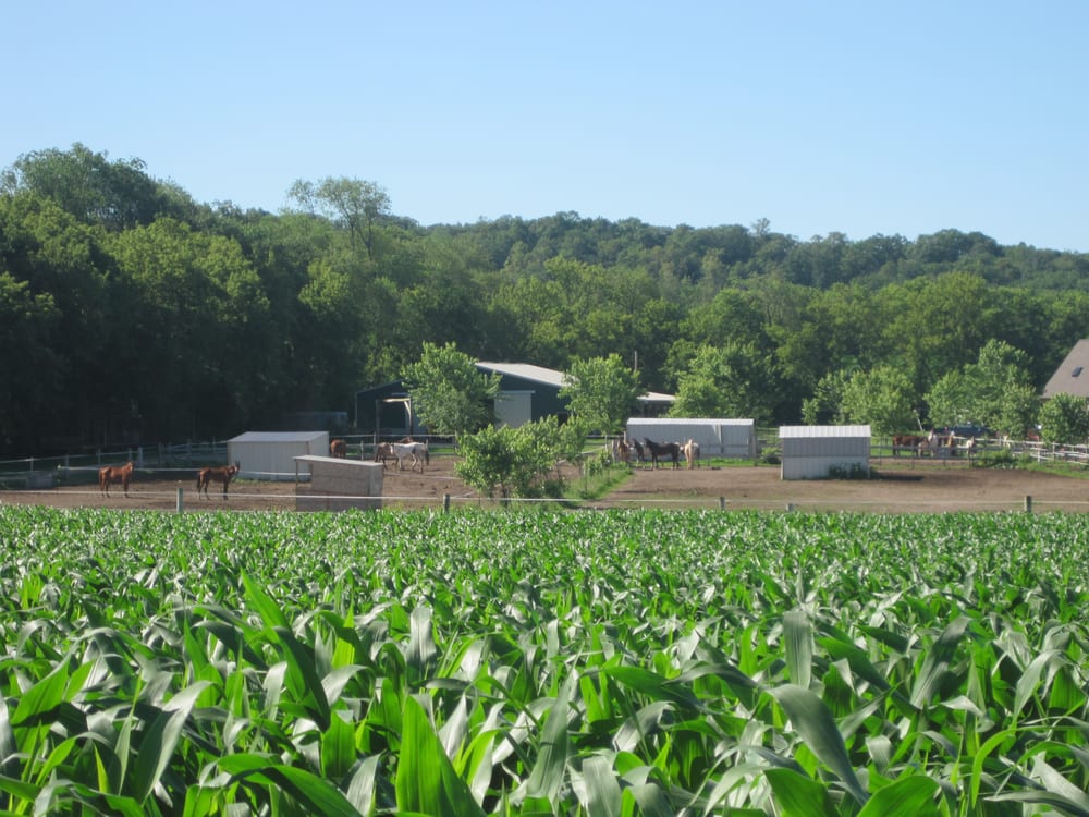 PAINTED HOLLOW FARM Wisconsin Pet Services Phone Number