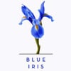 Blue Iris Spa & Salon gift card