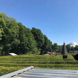 Irrgarten Kleinwelka - Irrgarten Kleinwelka