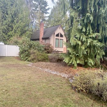 Sno-King Stump Grinding - After tree removal and stump grinding - Tree Services Near Me - Bothell, Washington Sno-King Stump Grinding - After tree removal and stump grinding - Tree Services Near Me - Bothell, Washington