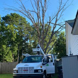 C & N Tree Service and Landscaping