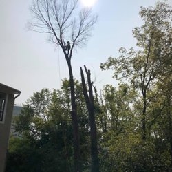 Sunbury Tree Care
