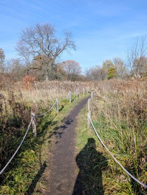 Montrose Point Bird Sanctuary by null