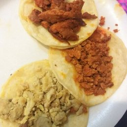 Pollo