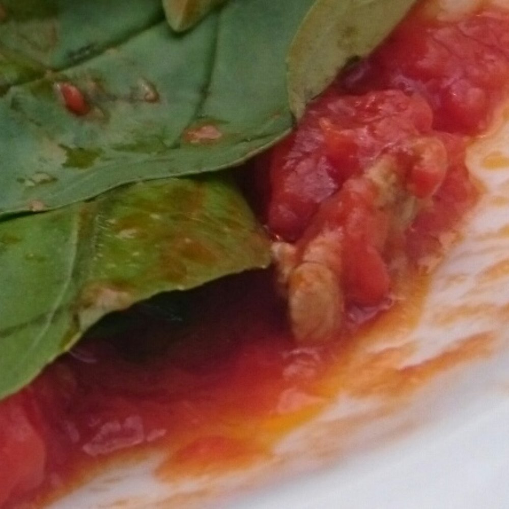 That Vegan pasta. With a piece of meat. Completely disrespectful That Vegan pasta. With a piece of meat. Completely disrespectful