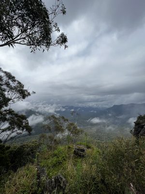 Blue Mountains National Park by null