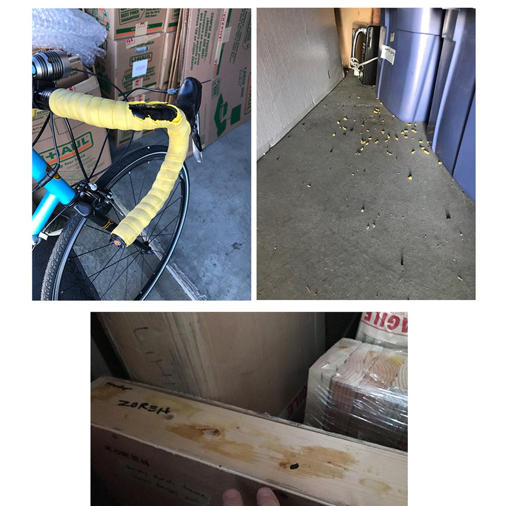 Mentone Self Storage - Rats chewed up my bike handles and soaked my crates and boxes with urine as shown in the photo. - Self Storage Near Me - Mentone, California Mentone Self Storage - Rats chewed up my bike handles and soaked my crates and boxes with urine as shown in the photo. - Self Storage Near Me - Mentone, California