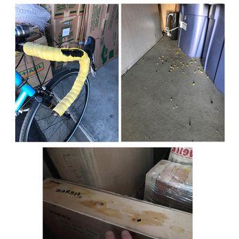 Mentone Self Storage - Rats chewed up my bike handles and soaked my crates and boxes with urine as shown in the photo. - Self Storage Near Me - Mentone, California Mentone Self Storage - Rats chewed up my bike handles and soaked my crates and boxes with urine as shown in the photo. - Self Storage Near Me - Mentone, California