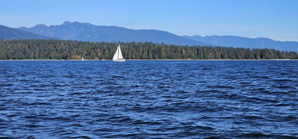 Prince of Whales - Whale & Marine Wildlife Adventures Vancouver by null