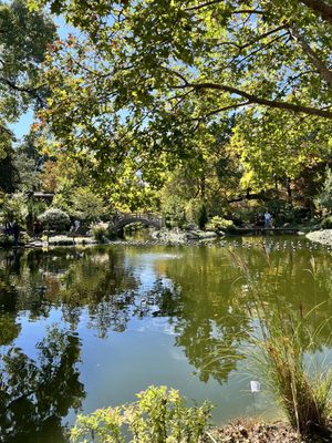Fort Worth Botanic Garden by null