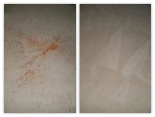 UPLAND STEAM COMPANY - Updated December 2024 - 24 Photos & 75 Reviews