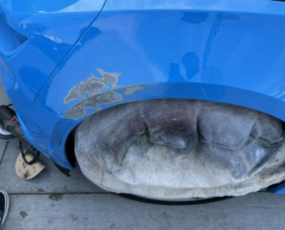 BEST CHOICE COLLISION & PAINT 20 Photos 44320 Osgood Rd, Fremont