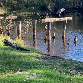 Babcock Ranch Eco Tours - Tours Near Me - Punta Gorda, Florida
