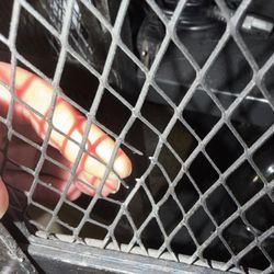 Warren's Moving - Broken metal mesh