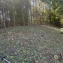 Grassking
