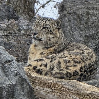 Tierpark Berlin - Zoos Near Me - Berlin, BE Tierpark Berlin - Zoos Near Me - Berlin, BE