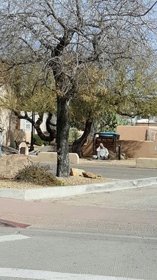 The Jail Tree by null