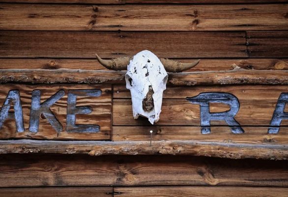 Saguaro Lake Guest Ranch by null