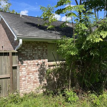 Don's Tree Service - Tree Services Near Me - Houston, Texas