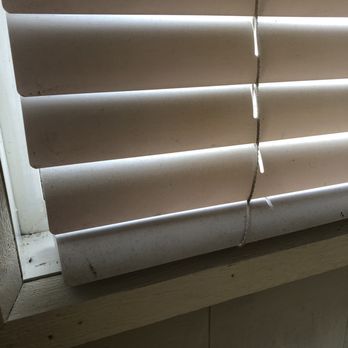 Hales Bar Marina And Resort - Filthy blinds with dead flies all along the windowsill - Resorts Near Me - Guild, Tennessee