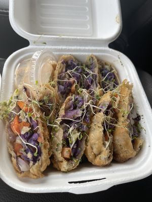 The Reizod Vegan Experience by null