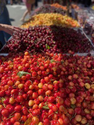 Mercer Island Farmers Market by null