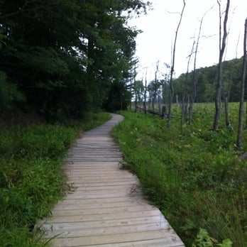 Calvert Cliffs State Park - Parks Near Me