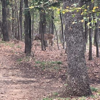 Ray Roberts Lake State Park - Can you find the doe? - Parks Near Me - Pilot Point, Texas