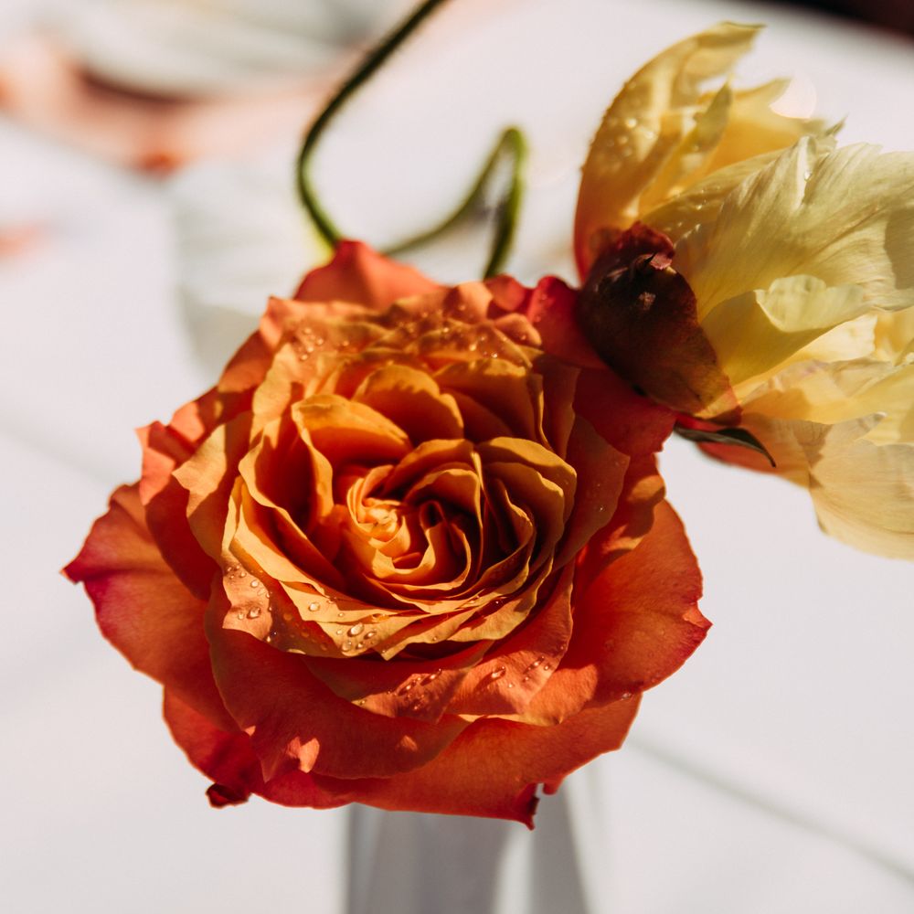 Ace S Flowers Aptos Best Flower Site