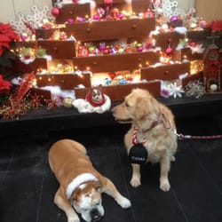 Araujo Farm & Greenhouses - Monty & Meg - totally done taking pics