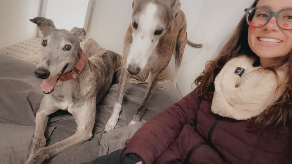Kind Hearted Pet Resort - pet boarding facility in Grantville, PA