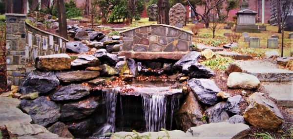 Woodlawn Cemetery • Conservancy by null