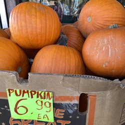 Bethel Farm - Pumpkins